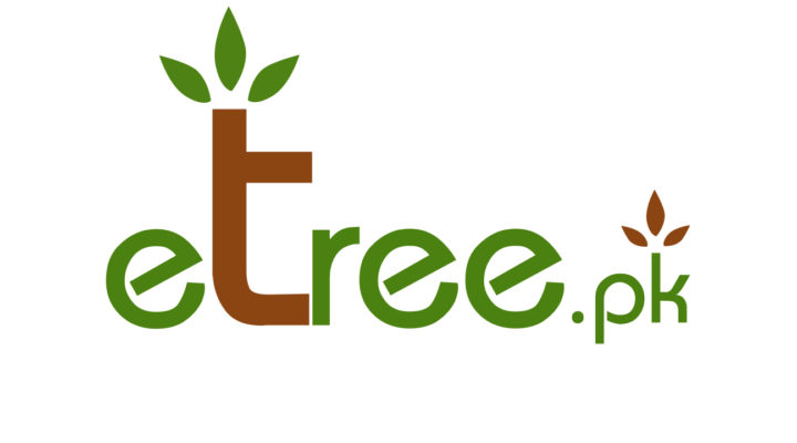 Landscaping services by eTree.pk
