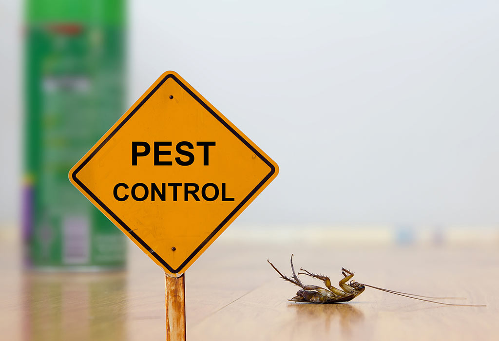 Pest control services in lahore by etree.pk