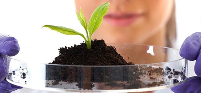 Soil-and-Ph-analysis-services-in-lahore-by-etree.pk