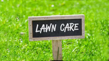 Lawn Care Plans